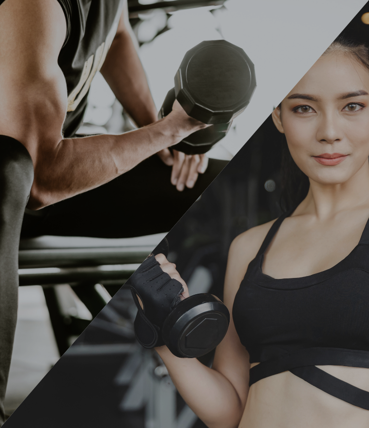 ウエイトトレーニングギアセット TRAINING GEAR - FIT-EASY STORE
